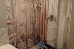 Termite-Shower-Removed