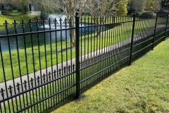 fence painting 2