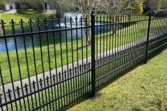 fence painting 2