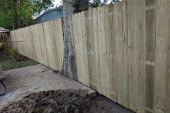 Back yard fence