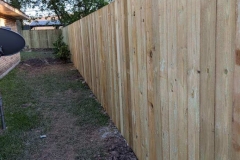 Back yard fence