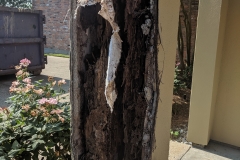 Termite-Column-Damage