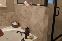 Termite-Shower-Before