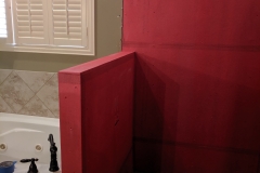 Termite-Shower-Replacement