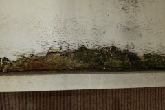 soffit-repair-5