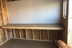 BackyardShedShelves